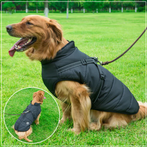 FurryKing™ Waterproof Winter Jacket with Built-in Harness