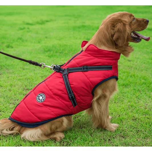 FurryKing™ Waterproof Winter Jacket with Built-in Harness